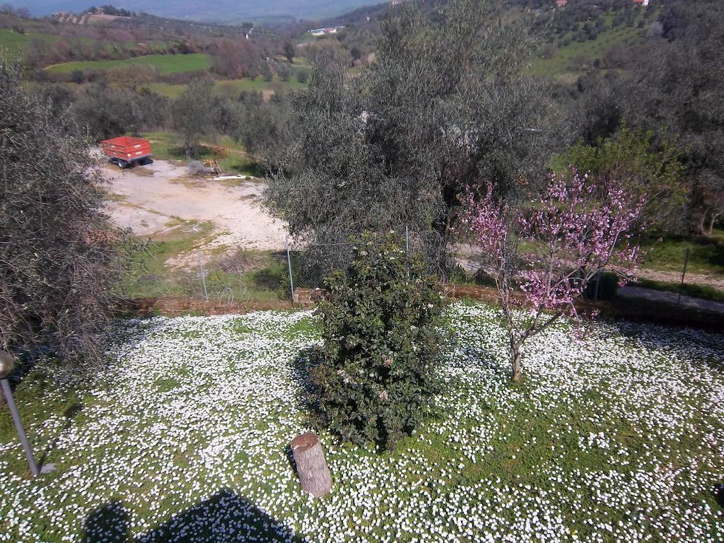 Agriturismo Norianino Montemerano Exteriör bild